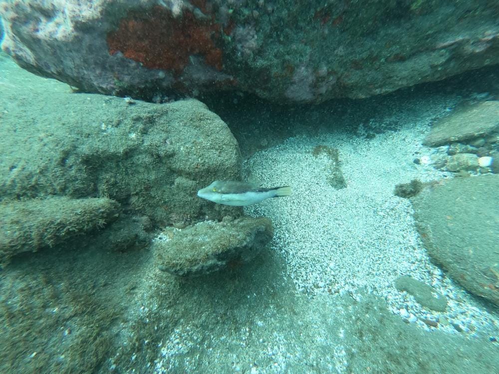 Foto 1 di 3