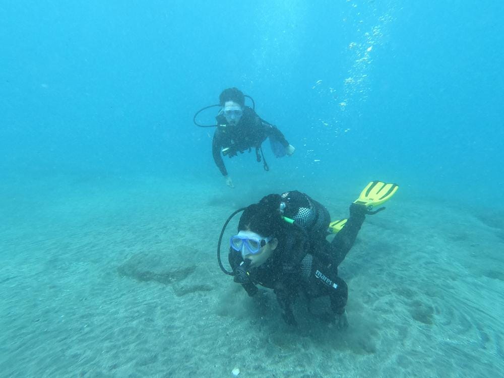 Foto 2 di 3