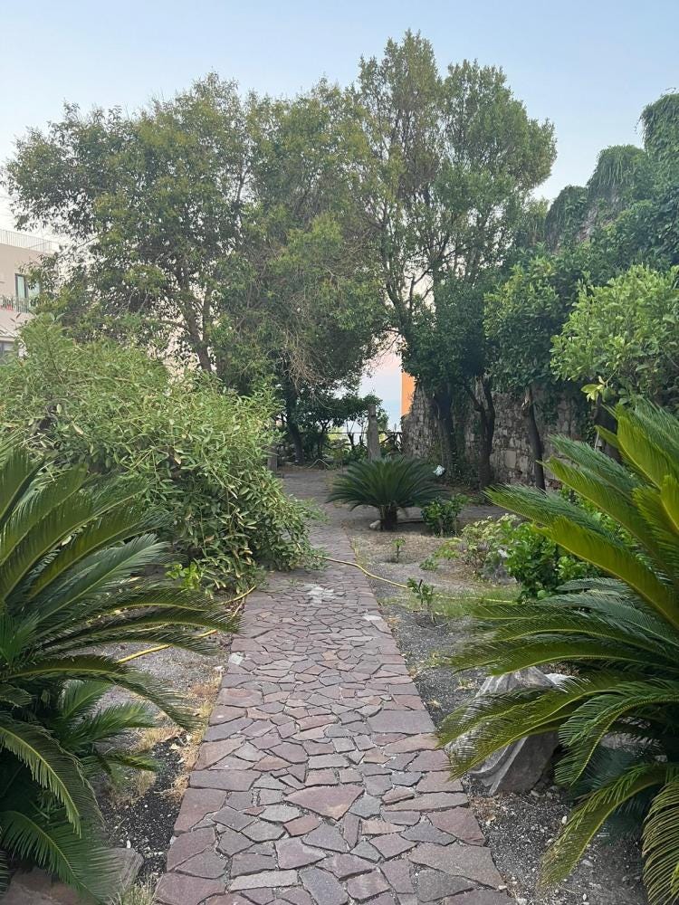 Foto 3 di 6