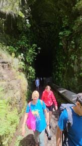 Foto 1 de 4