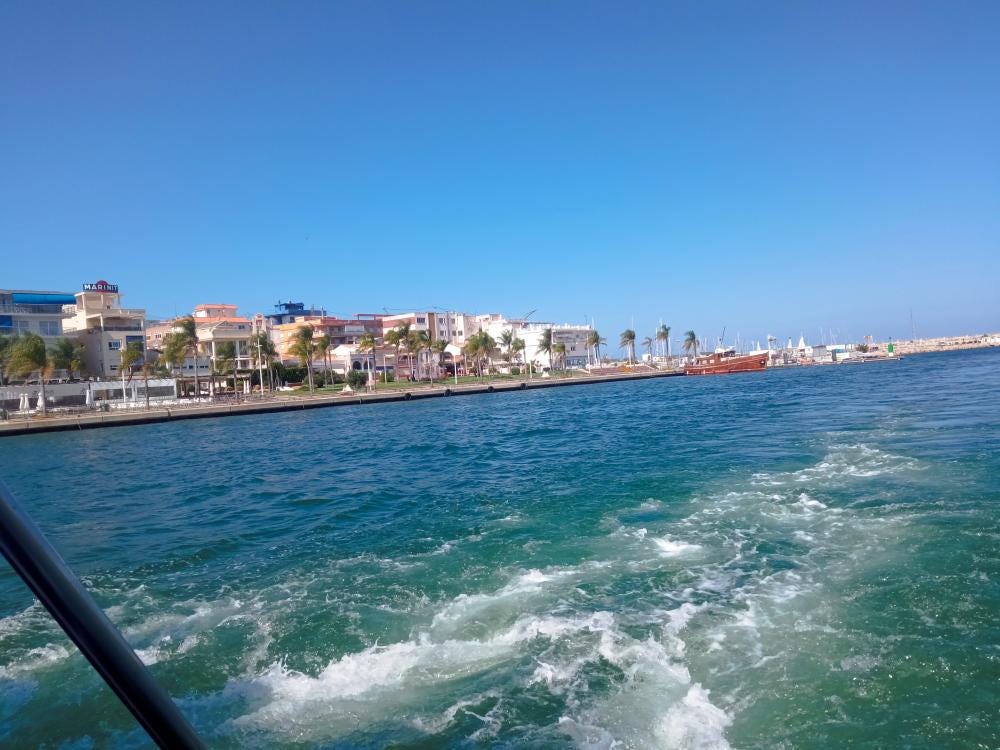 Foto 1 de 2