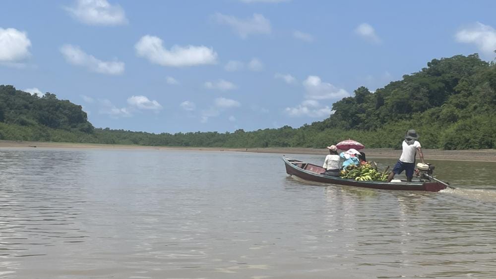 Foto 4 de 4