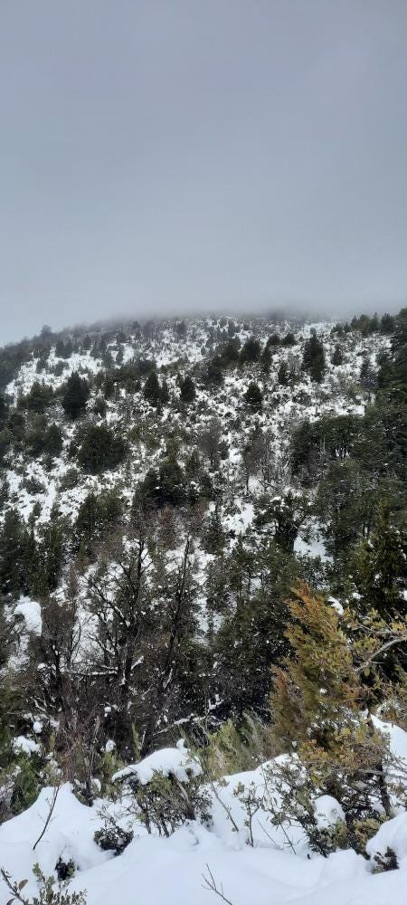 Foto 2 de 3