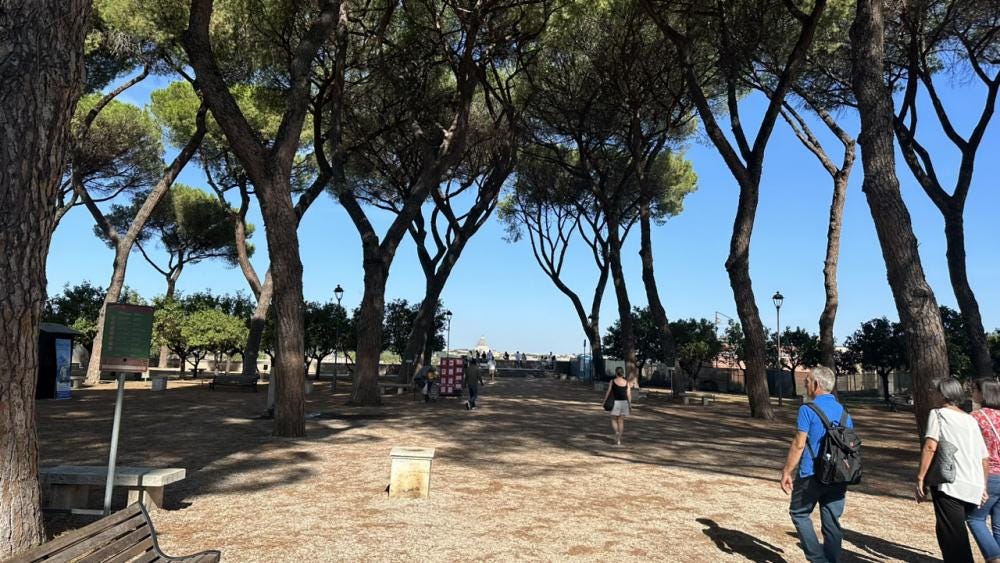 Foto 4 de 7