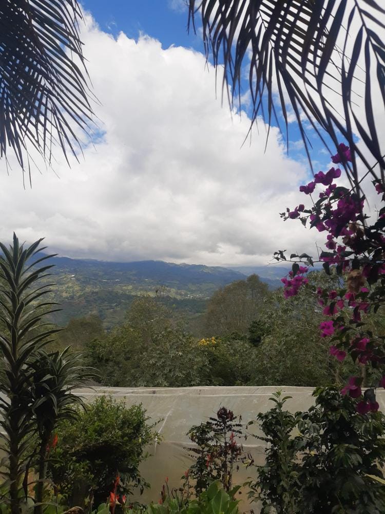 Foto 1 de 4