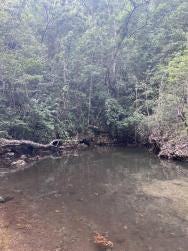 Foto 2 de 3