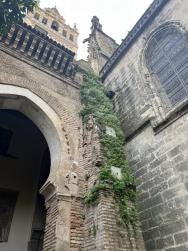 Foto 1 de 5