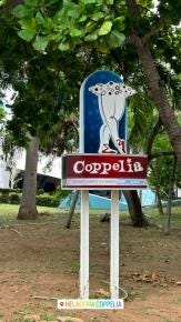 Foto 8 de 9