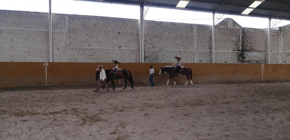 Foto 1 de 2
