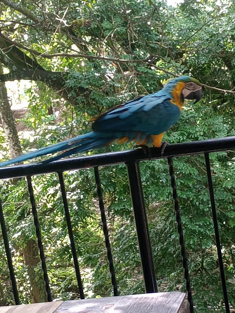 Foto 2 de 3