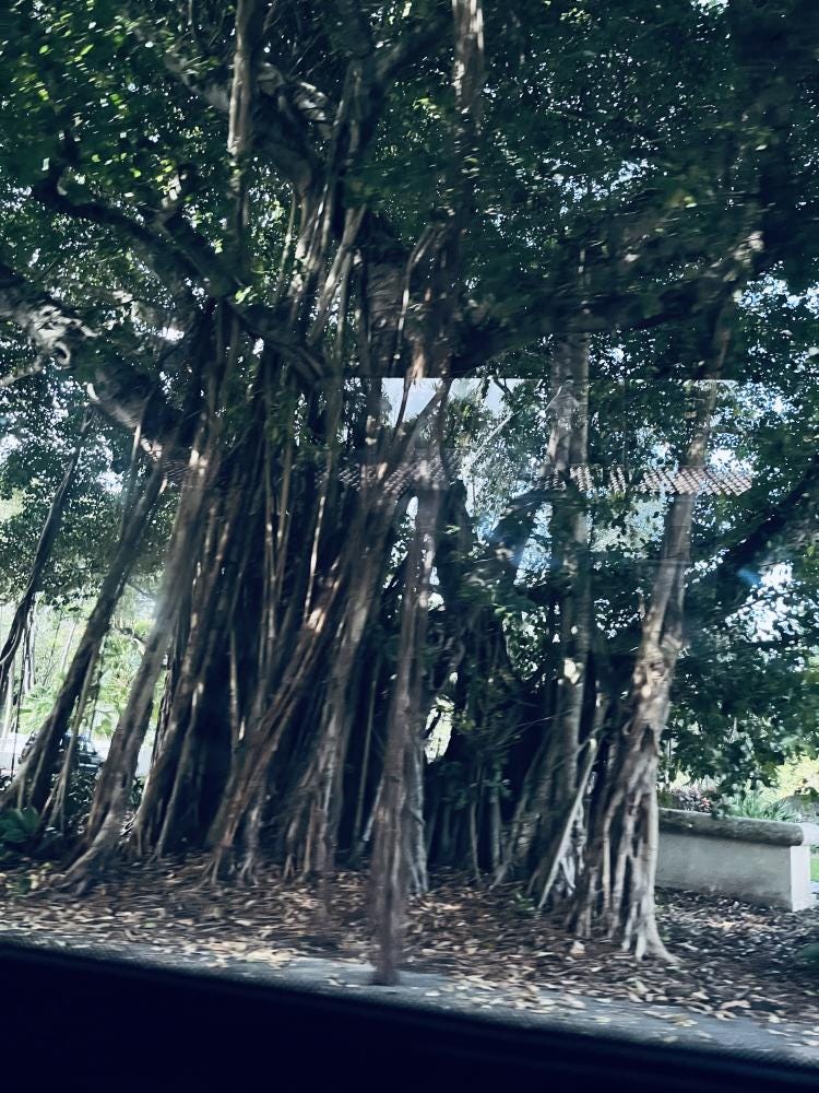 Foto 1 de 4