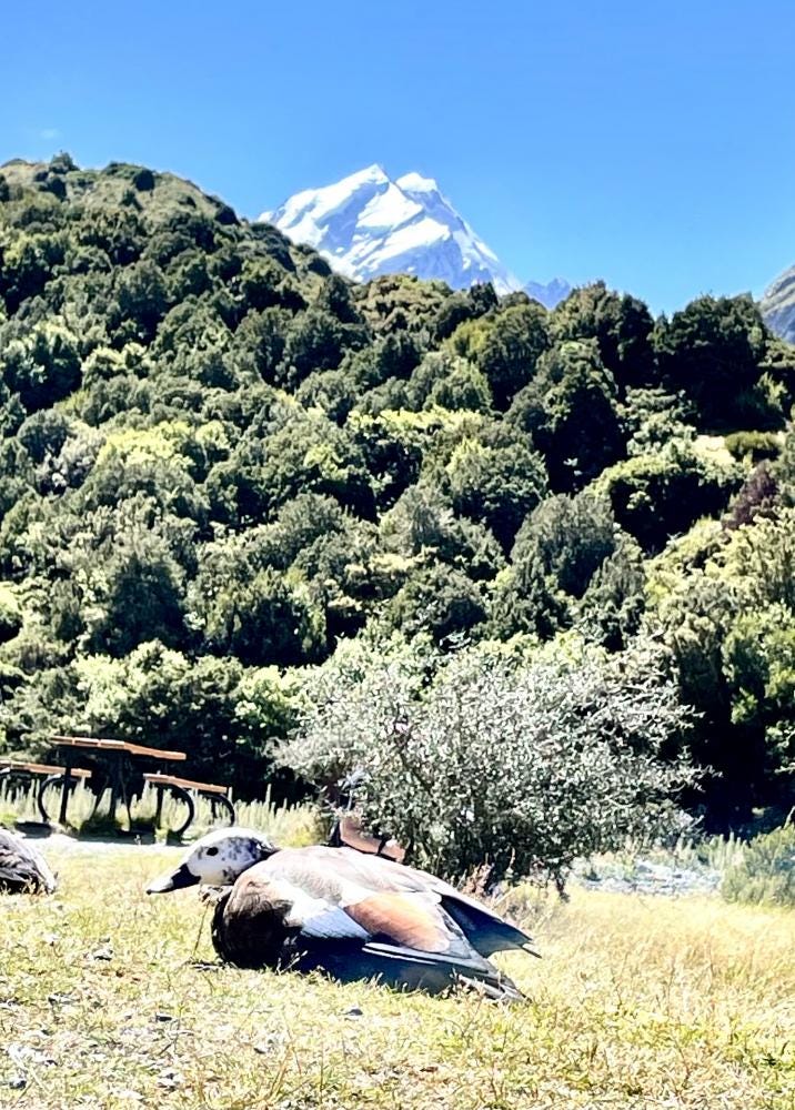 Foto 2 de 2