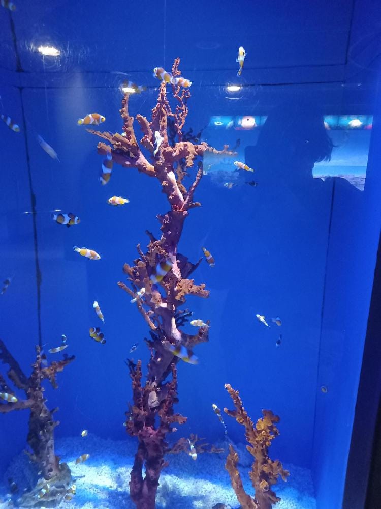 Foto 1 di 3