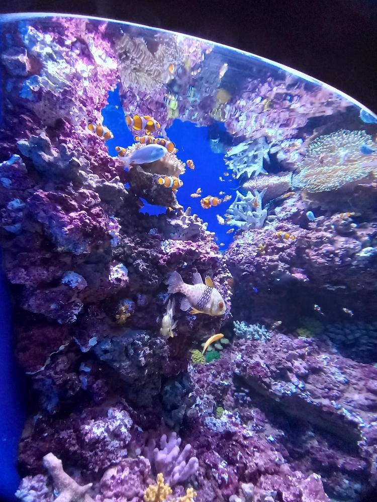 Foto 3 di 3