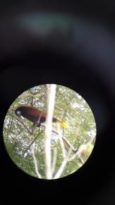 Foto 4 de 4