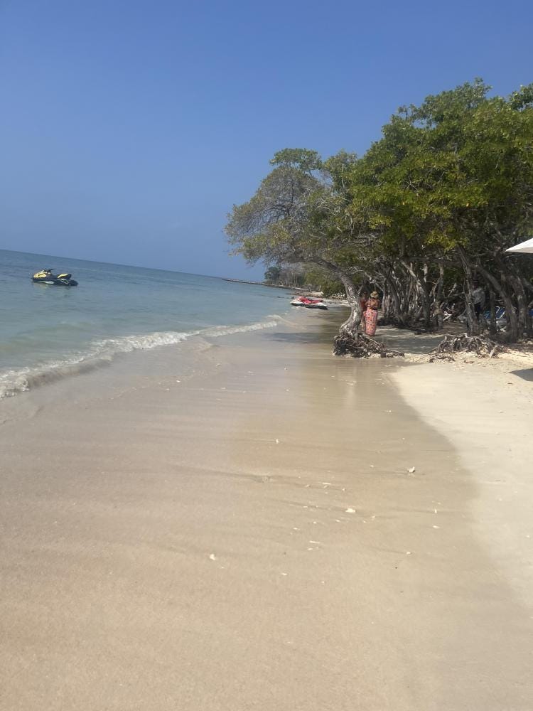Foto 2 de 7