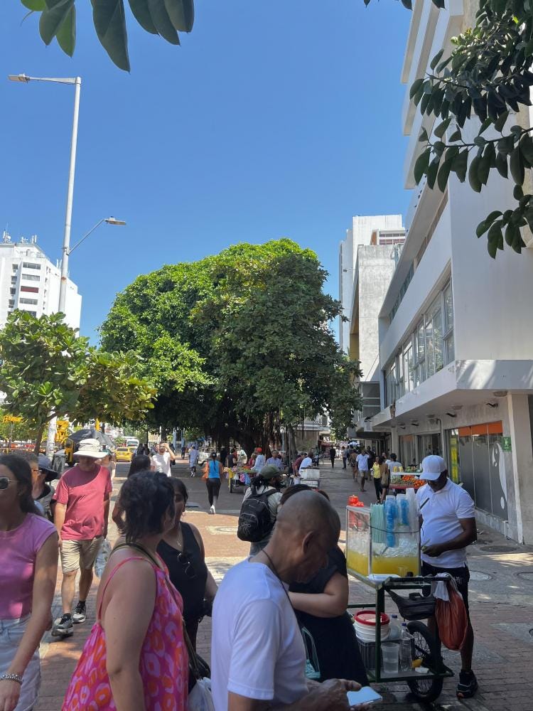Foto 1 de 1