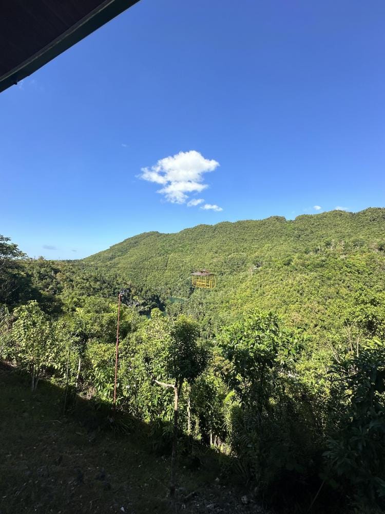 Foto 6 de 6