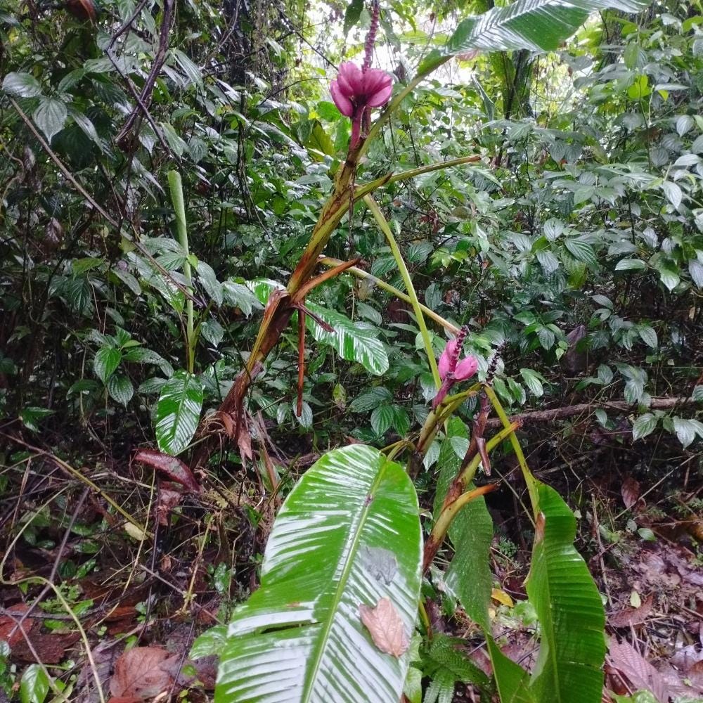Foto 1 de 3