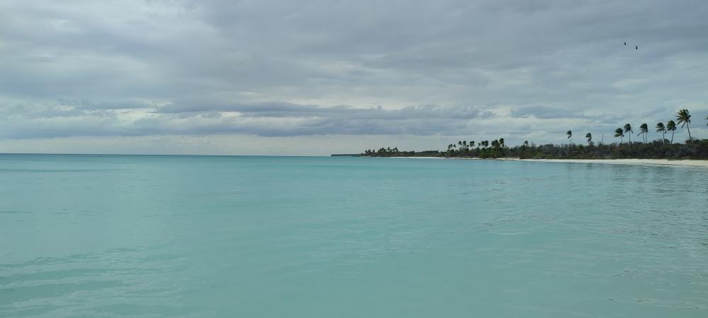 Foto 1 de 7