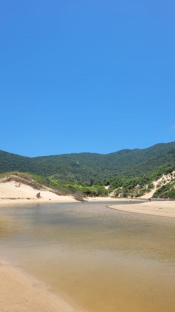 Foto 3 de 3