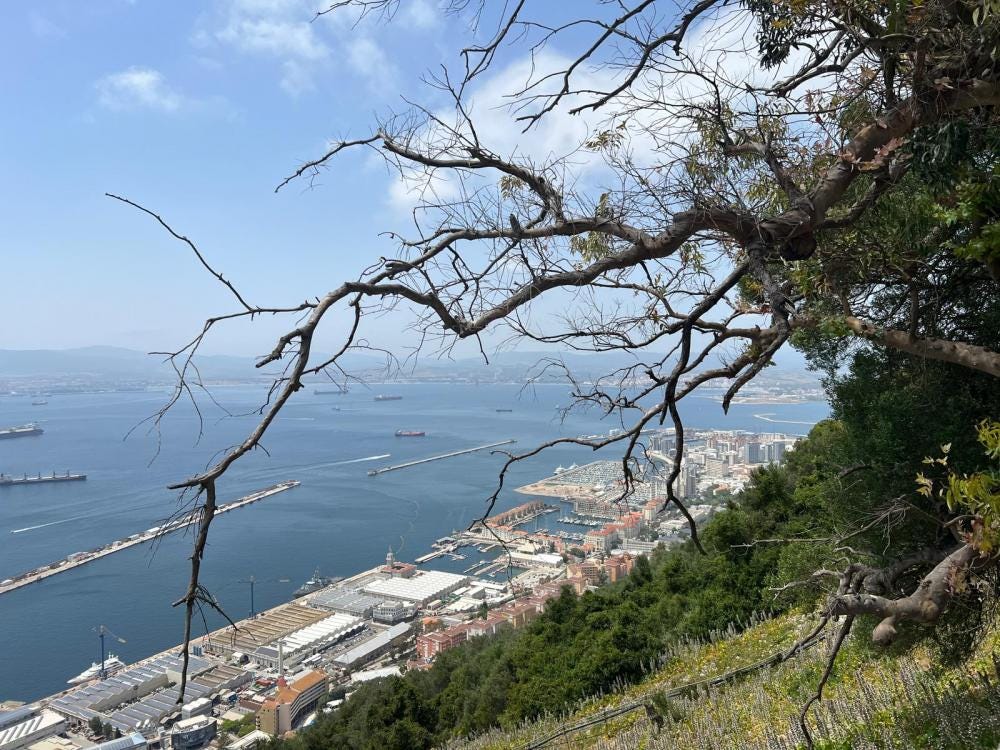 Foto 2 di 9