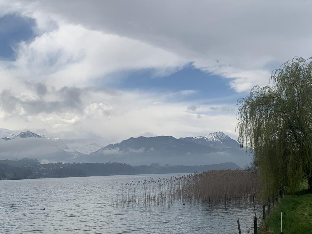 Foto 6 di 6