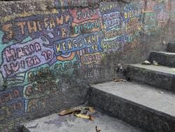 Foto 7 de 7