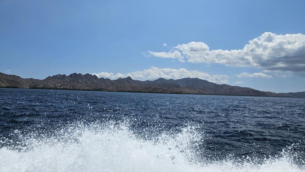 Foto 4 di 4