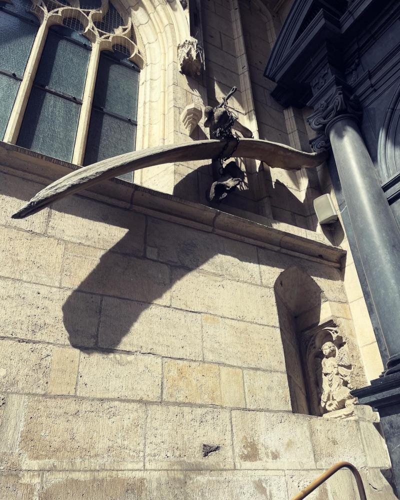 Foto 4 di 7