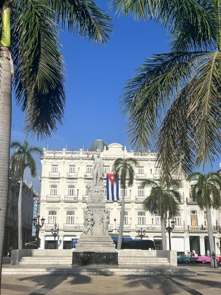 Foto 5 de 5