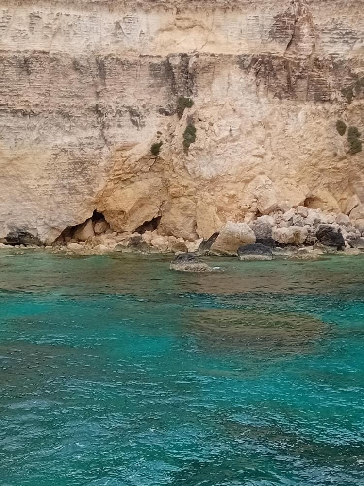 Foto 4 di 4