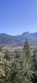 Foto 7 de 8