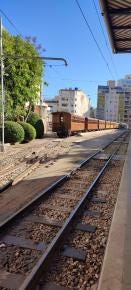 Foto 8 de 8