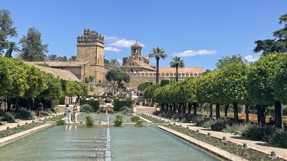 Foto 1 de 1