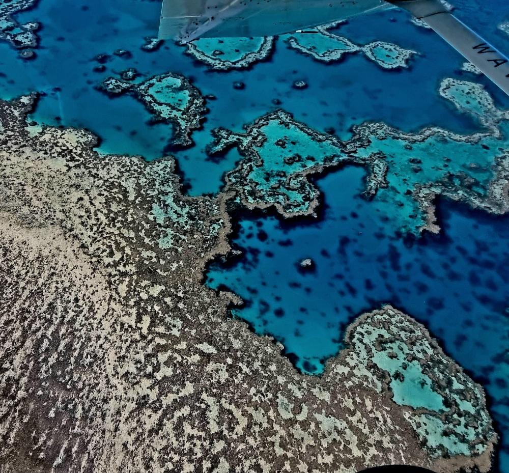 Foto 2 de 4