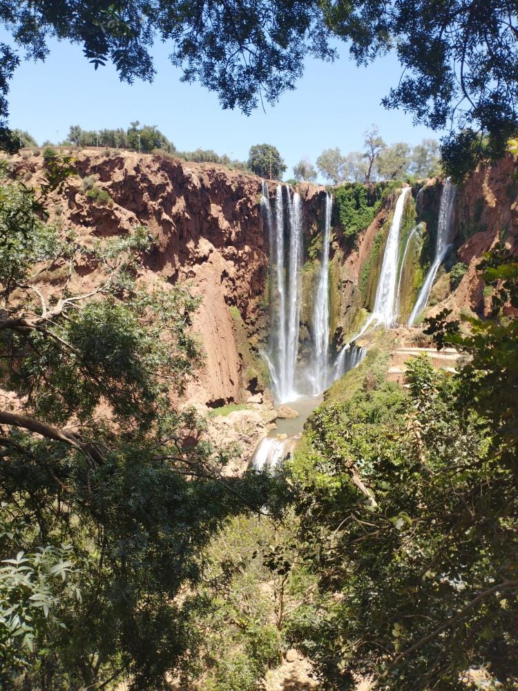 Foto 1 de 1