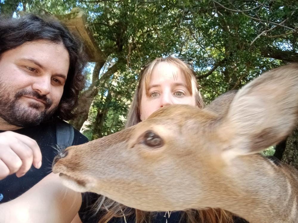 Foto 1 de 1