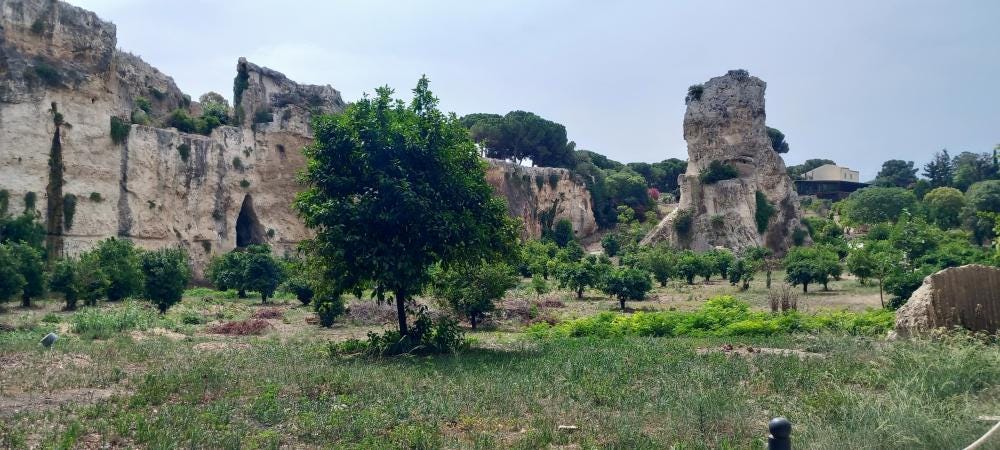 Photo 5 sur 8