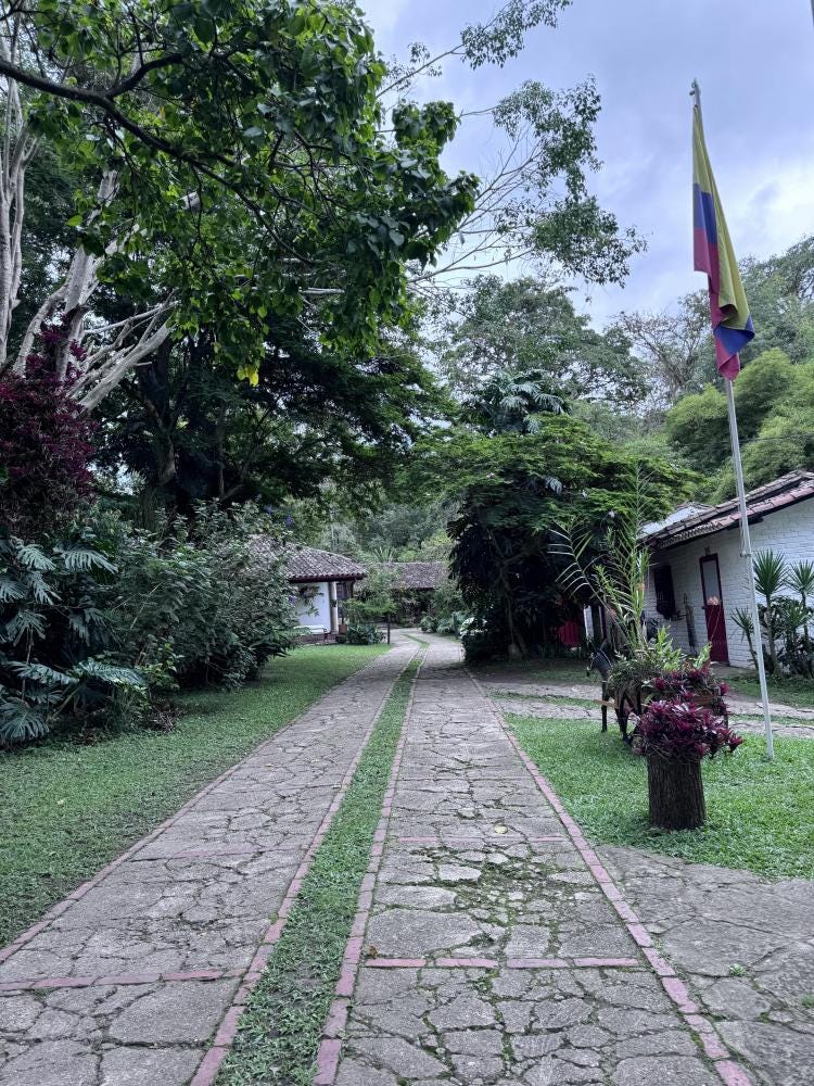 Foto 1 de 1