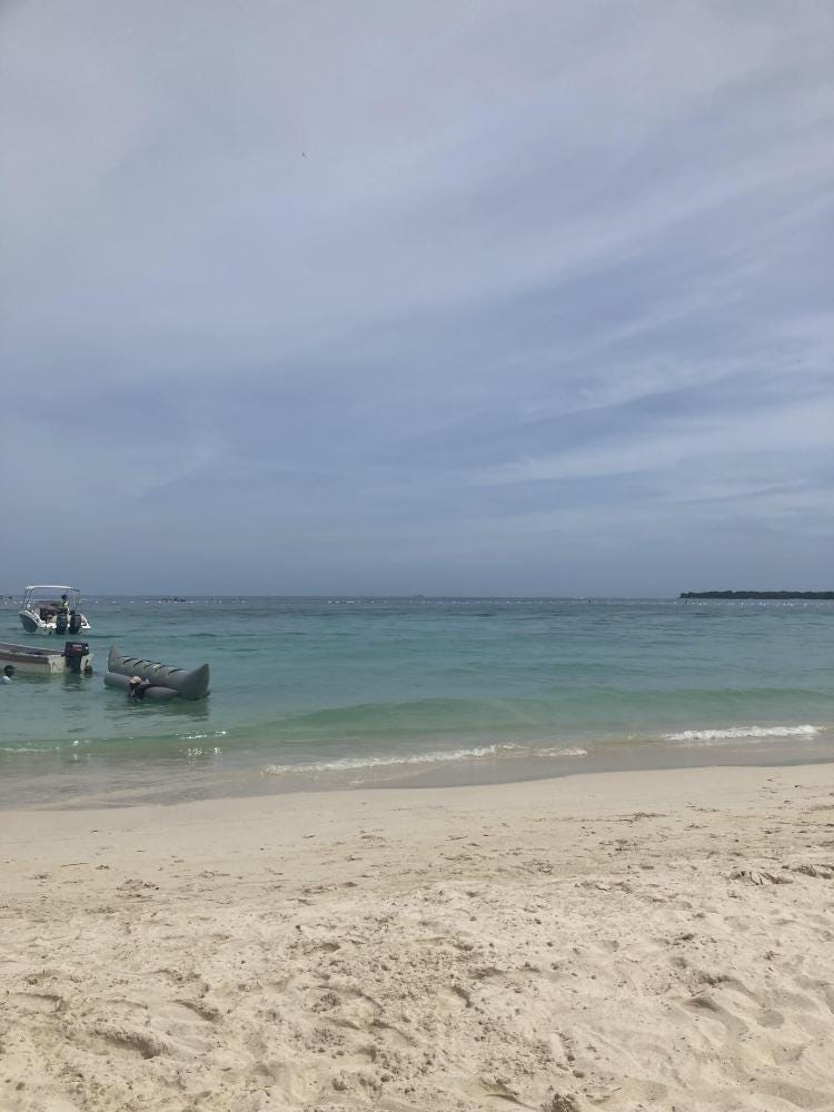 Foto 1 de 2