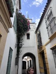 Foto 2 de 2