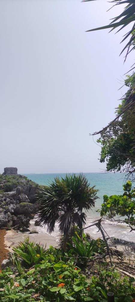 Foto 4 de 5