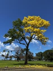 Foto 3 de 3
