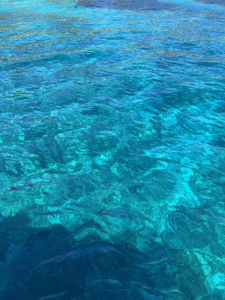 Foto 1 de 2