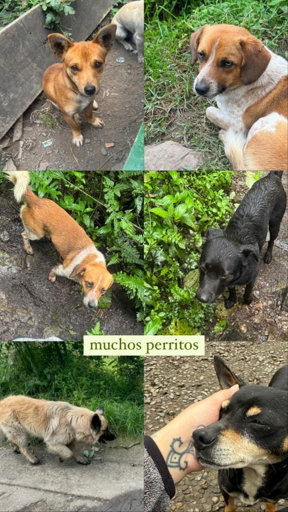 Foto 4 de 4