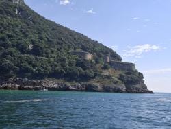 Foto 6 de 8
