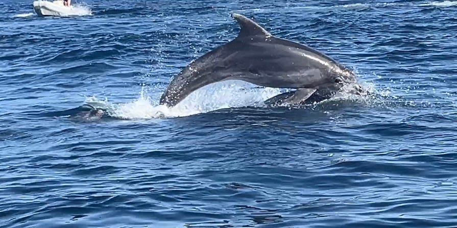 Foto 3 de 6