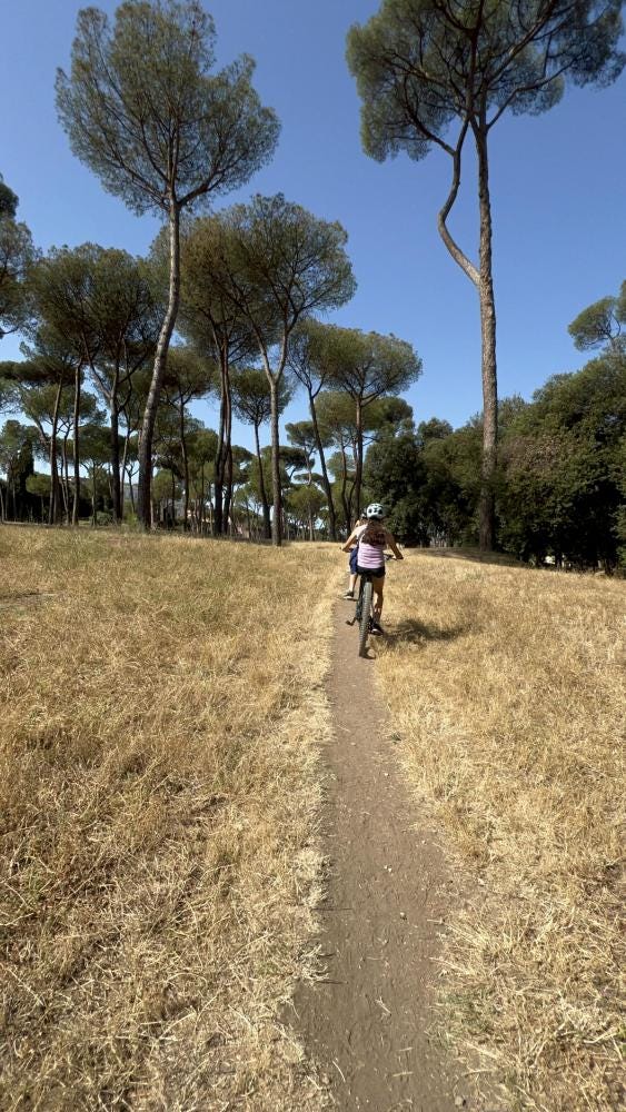 Foto 1 de 7