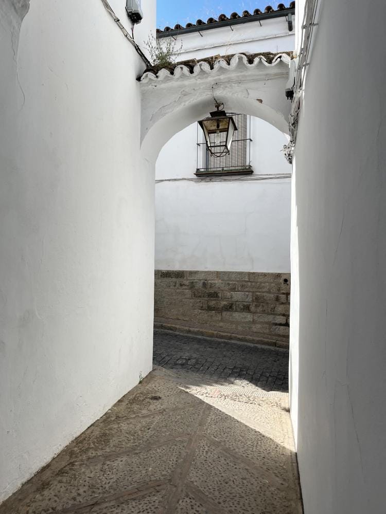 Foto 1 de 1